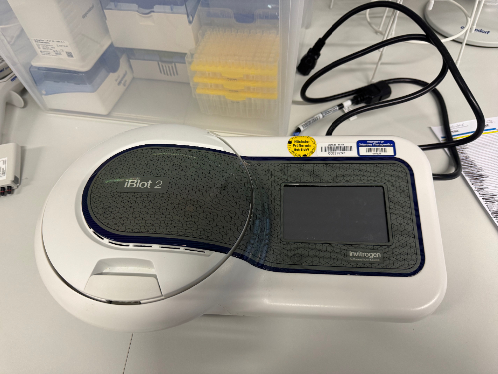 Image of Invitrogen iBlot 2 Gel Transfer Device